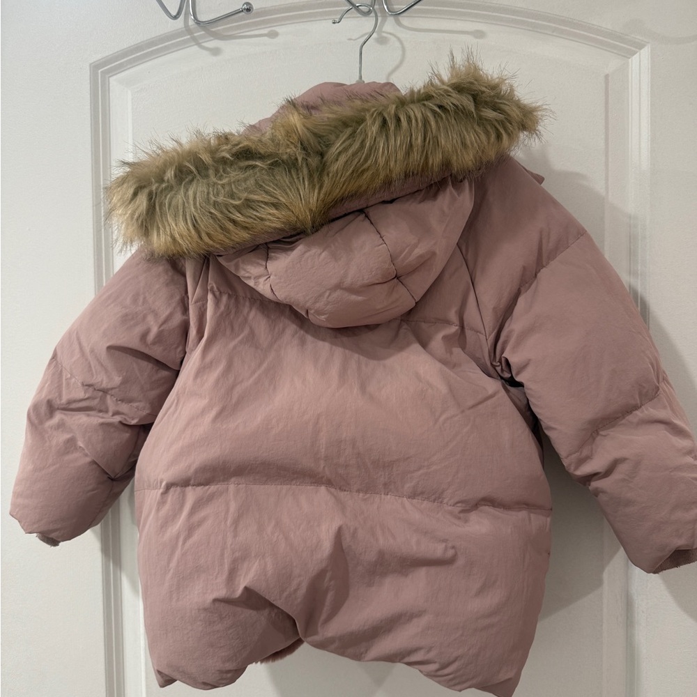 Zara jacket - Picture 2 of 3